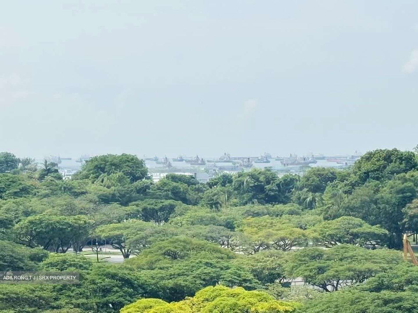 Seaside Residences (D15), Apartment #580308151